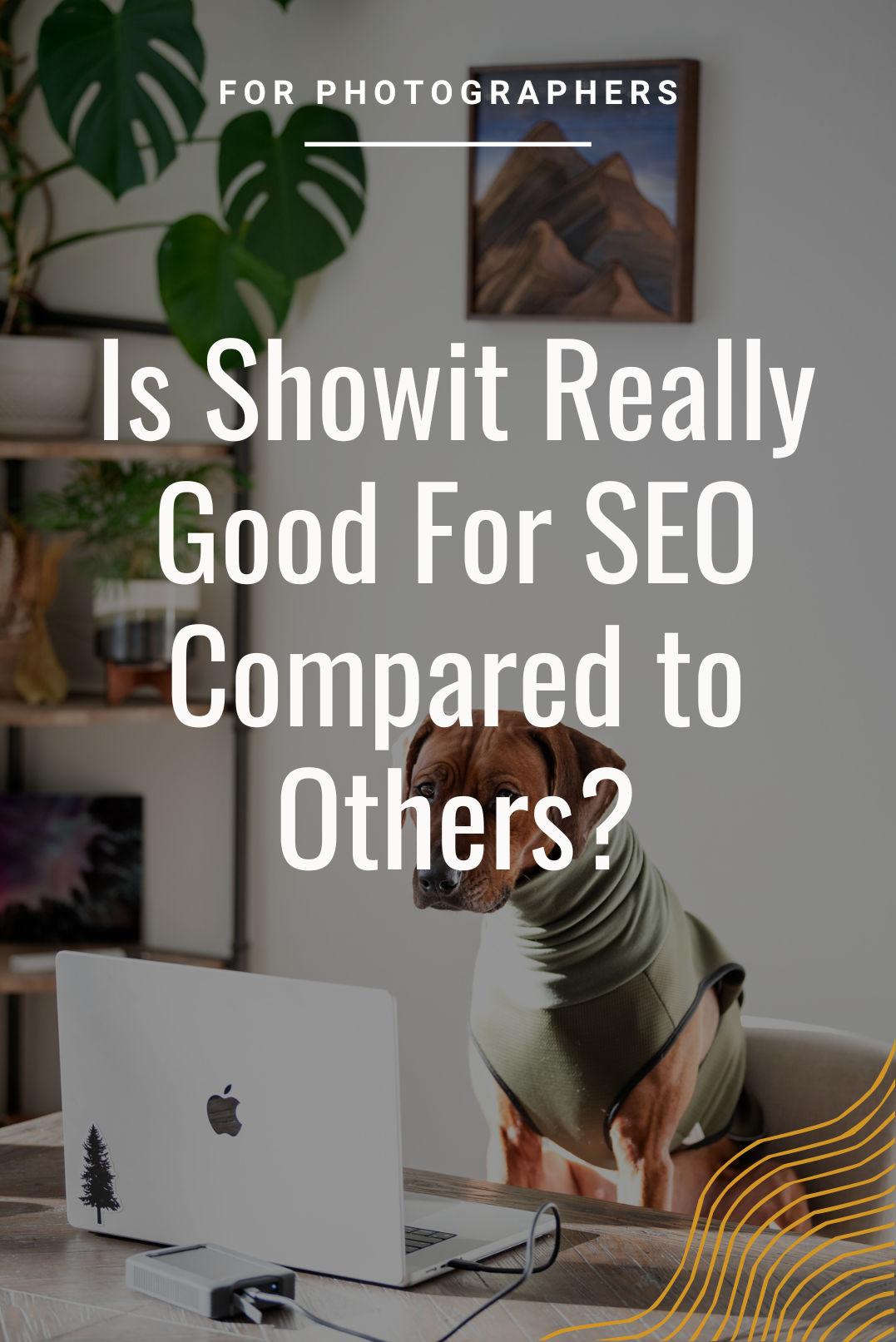 How does Showit stackup on SEO compared to competition